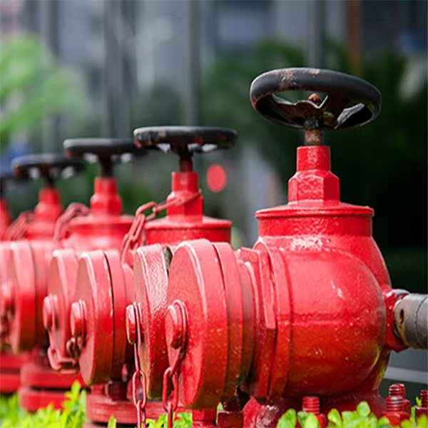 黄石市施工图审查有限公司 -对结构安全的影响和使用功能的重大变化，重新提交原施工图审查机构审查